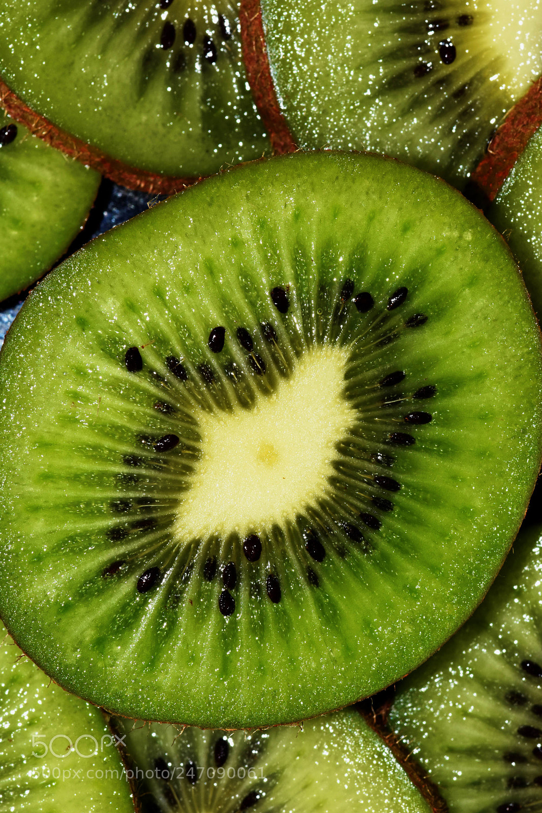 Nikon D7200 sample photo. Kiwi photography