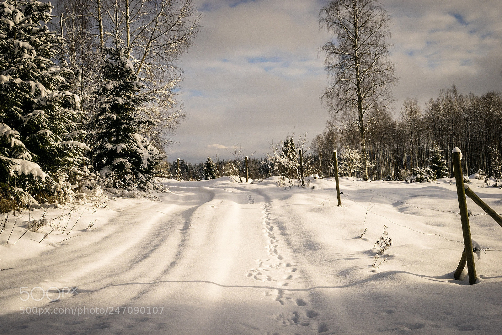 Sony a7R sample photo. A lot of snow photography