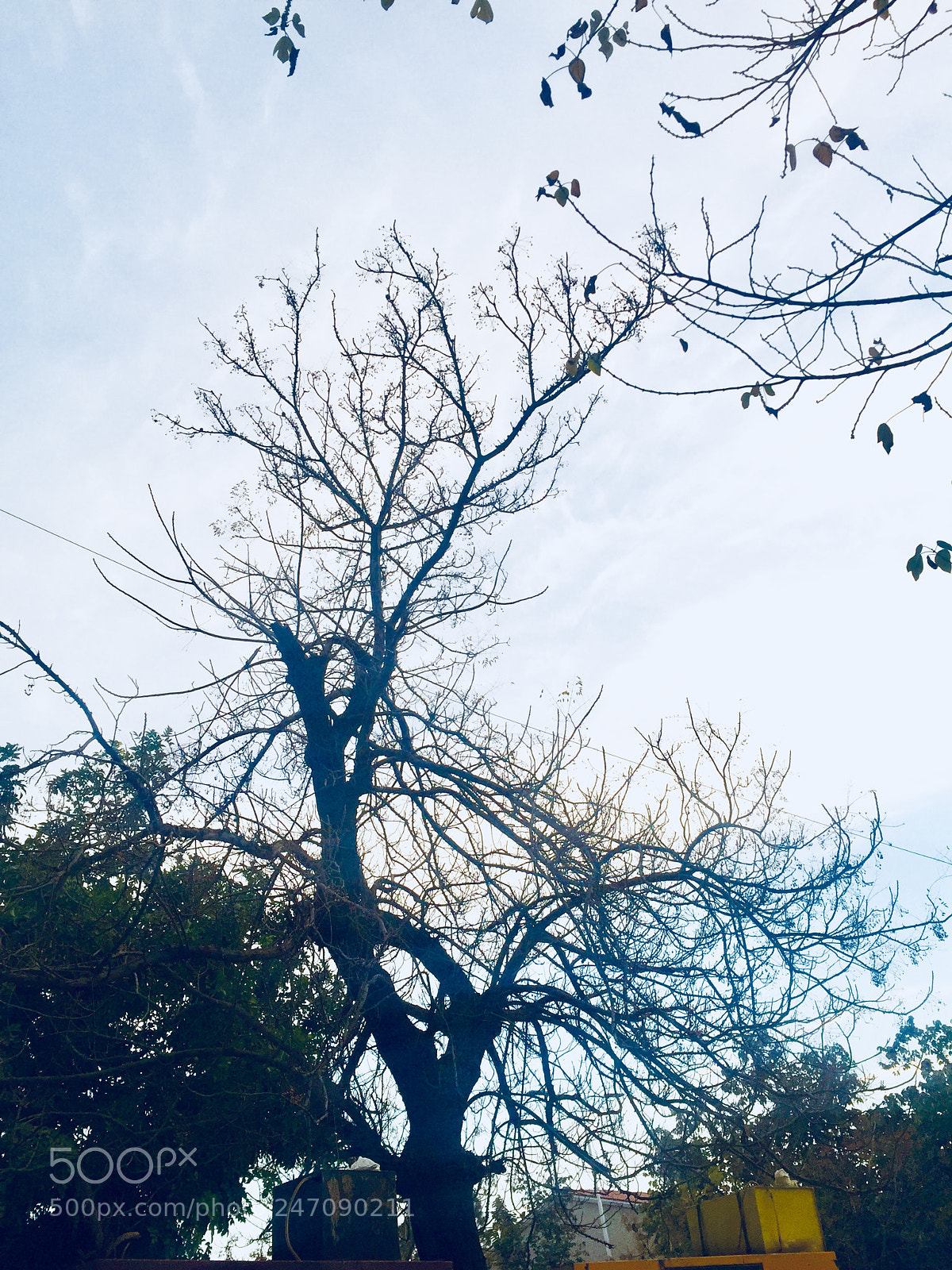 Apple iPhone 6 sample photo. Untitled photography
