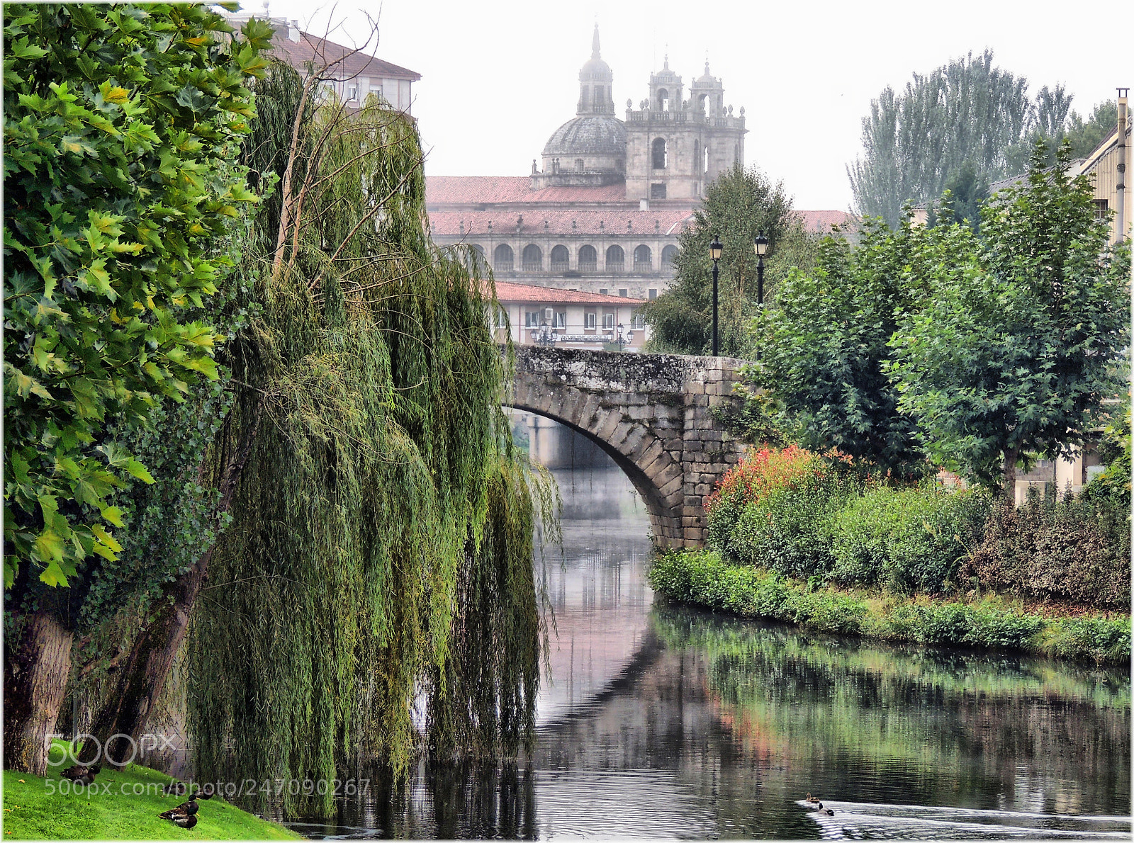 Nikon Coolpix P510 sample photo. Monforte de lemos (lugo) photography