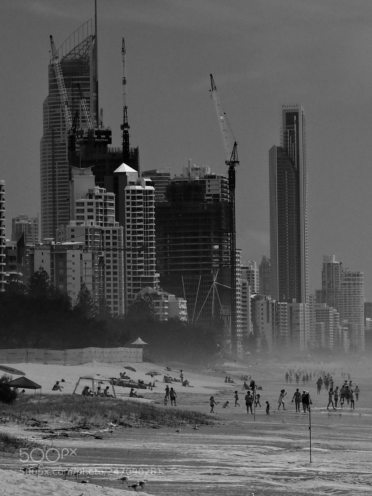 Olympus OM-D E-M10 sample photo. Chaos - gold coast photography
