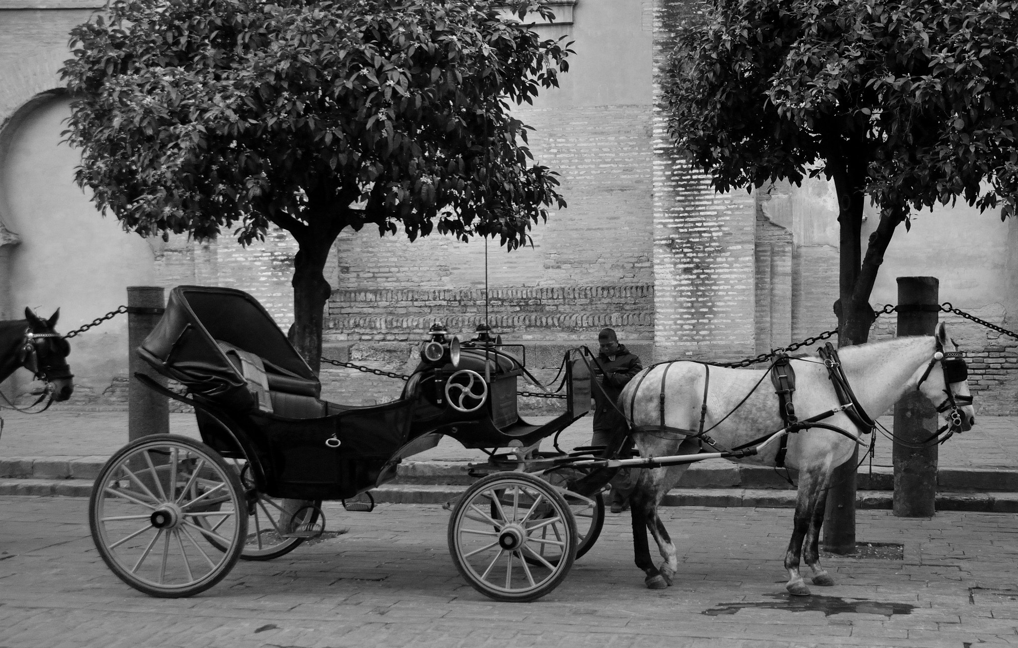 Nikon D7000 sample photo. Carriage photography