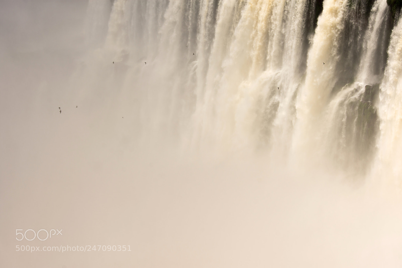 Nikon D7200 sample photo. Mighty iguazu photography