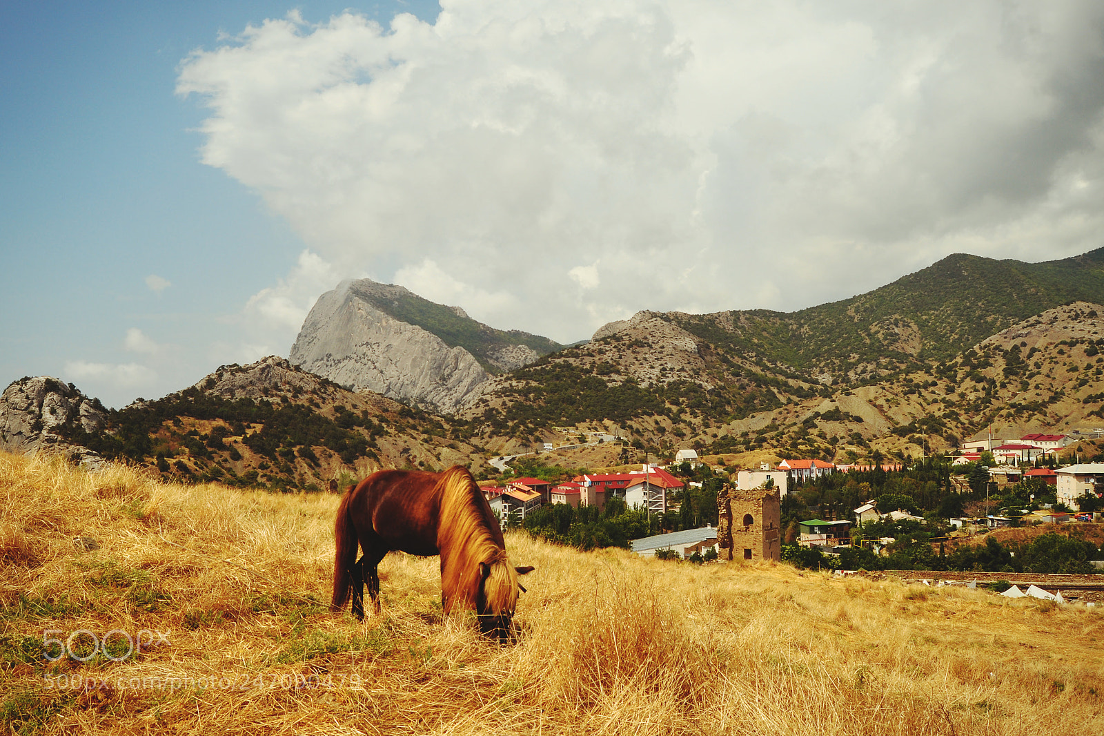 Nikon D90 sample photo. Wonderful land photography
