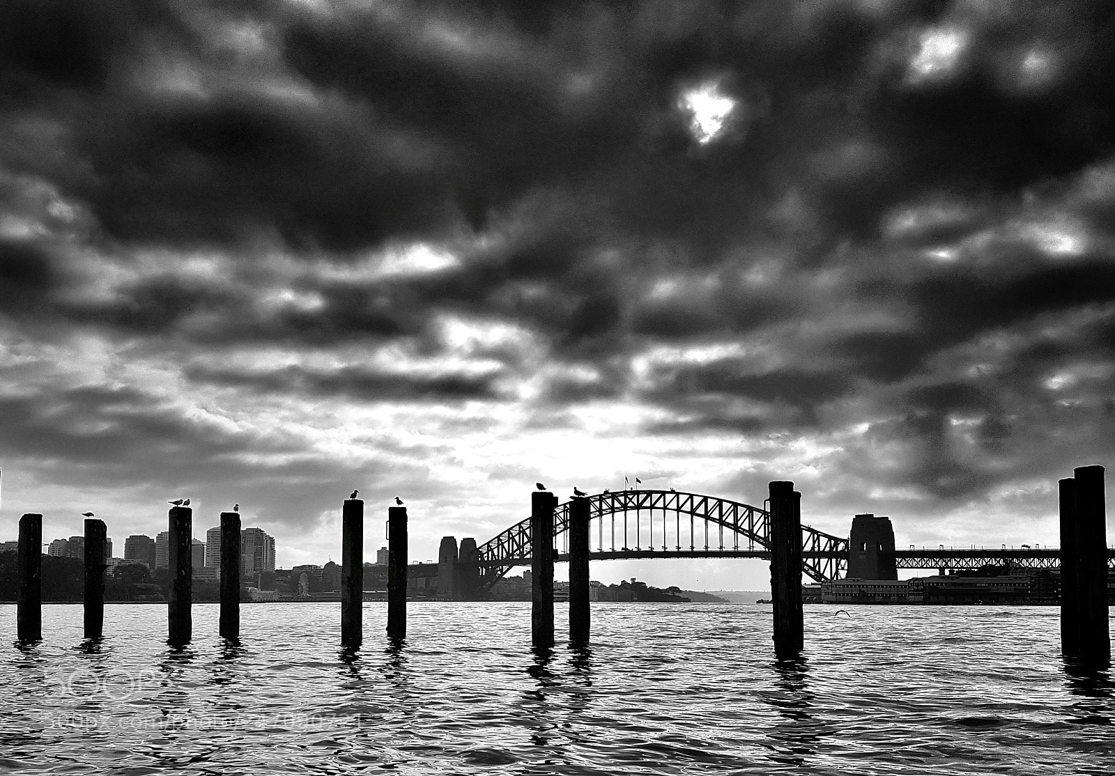 Samsung Galaxy S7 Edge sample photo. Sydney harbour photography