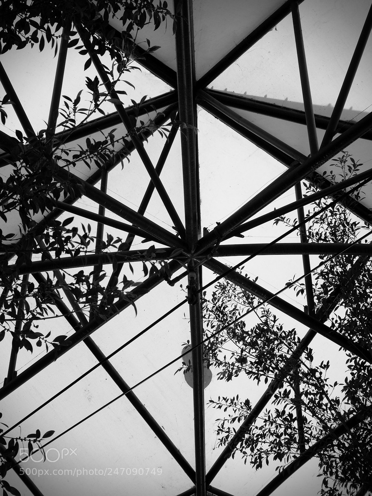 Olympus OM-D E-M5 sample photo. Experimental photography photography