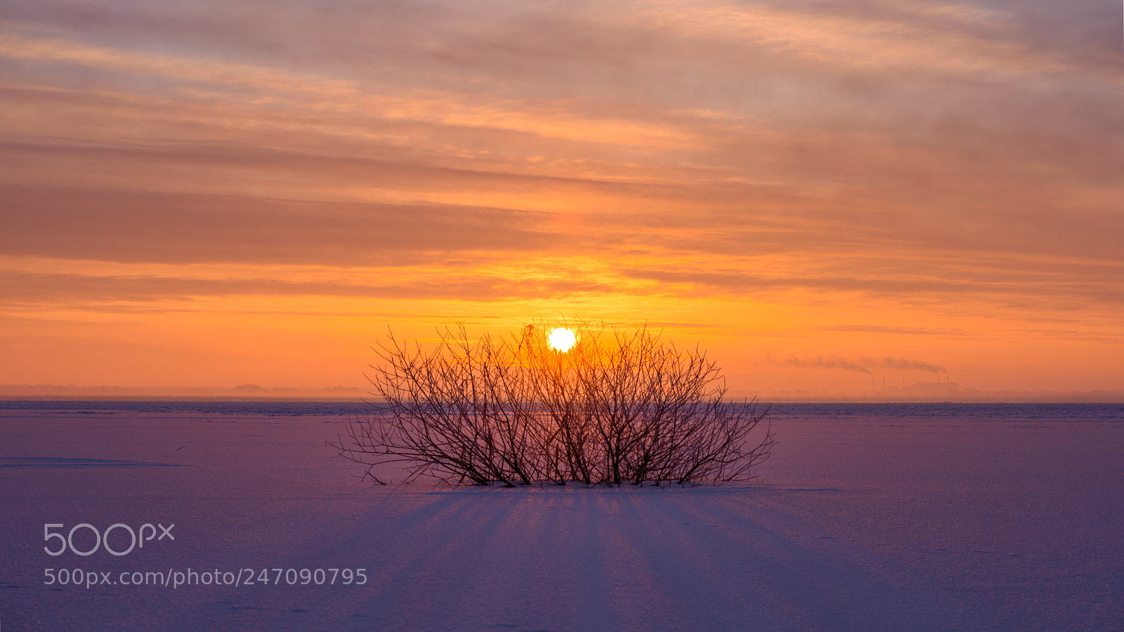 Nikon D810 sample photo. Hot and cold photography
