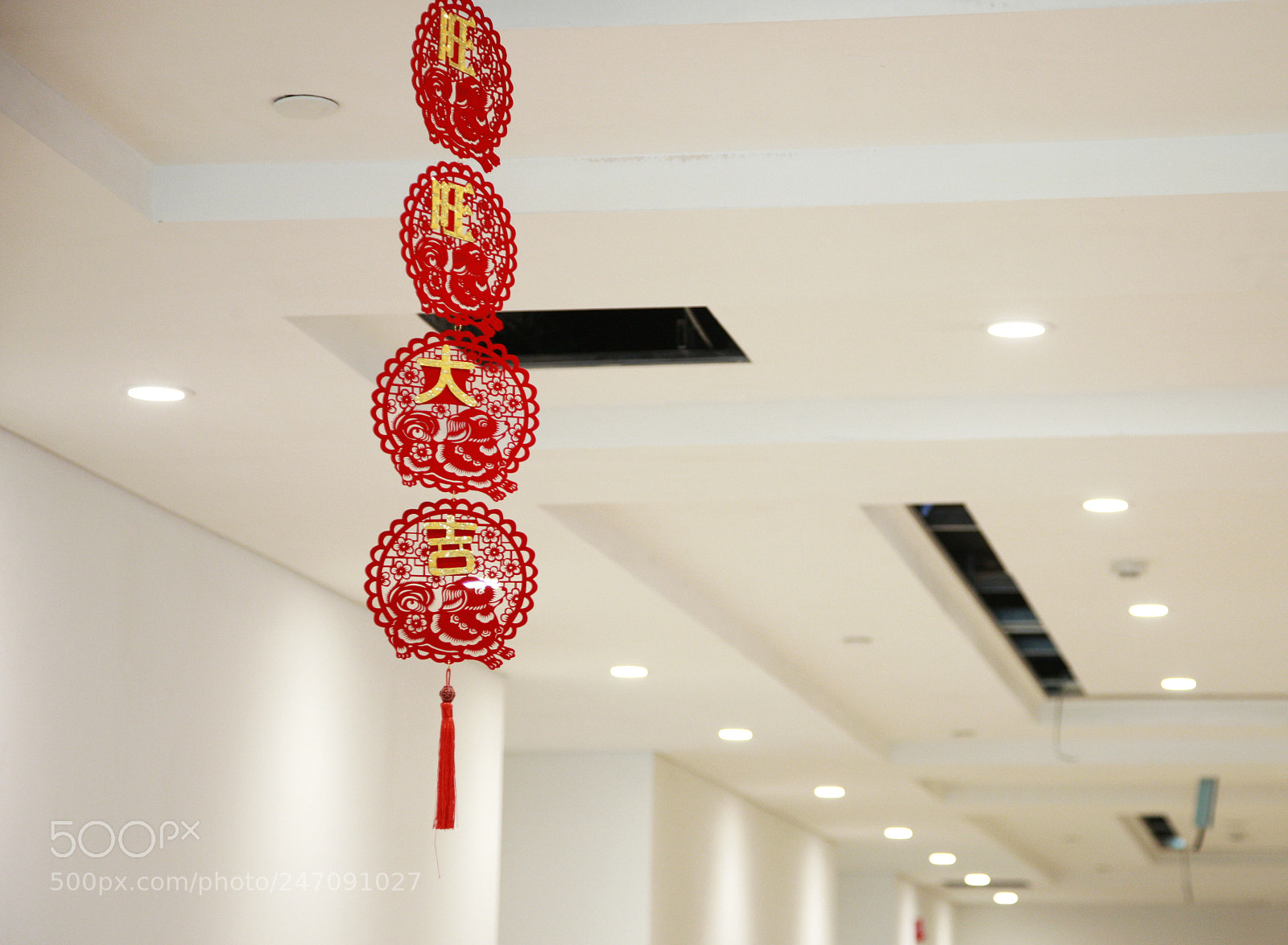 Canon EOS-1Ds Mark III sample photo. Wangwang photography