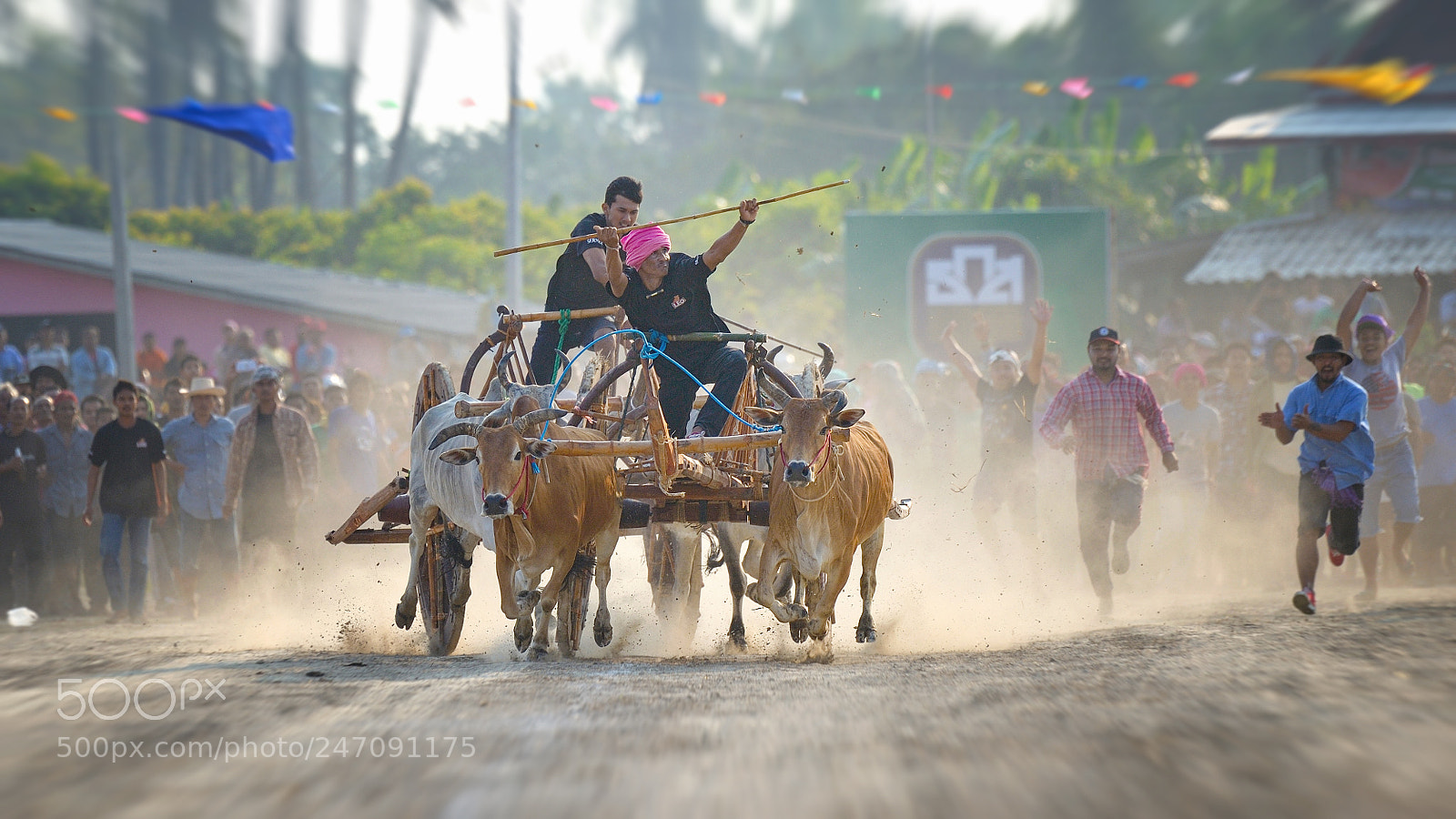 Nikon Df sample photo. Cowboy racing photography