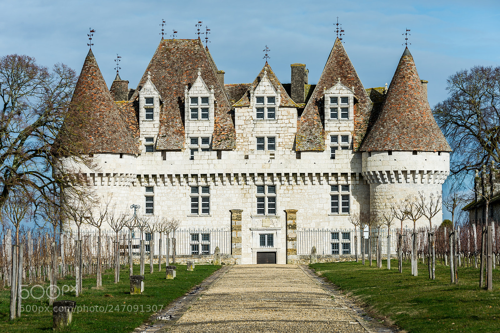 Nikon D4 sample photo. Monbazillac castle france dordogne photography