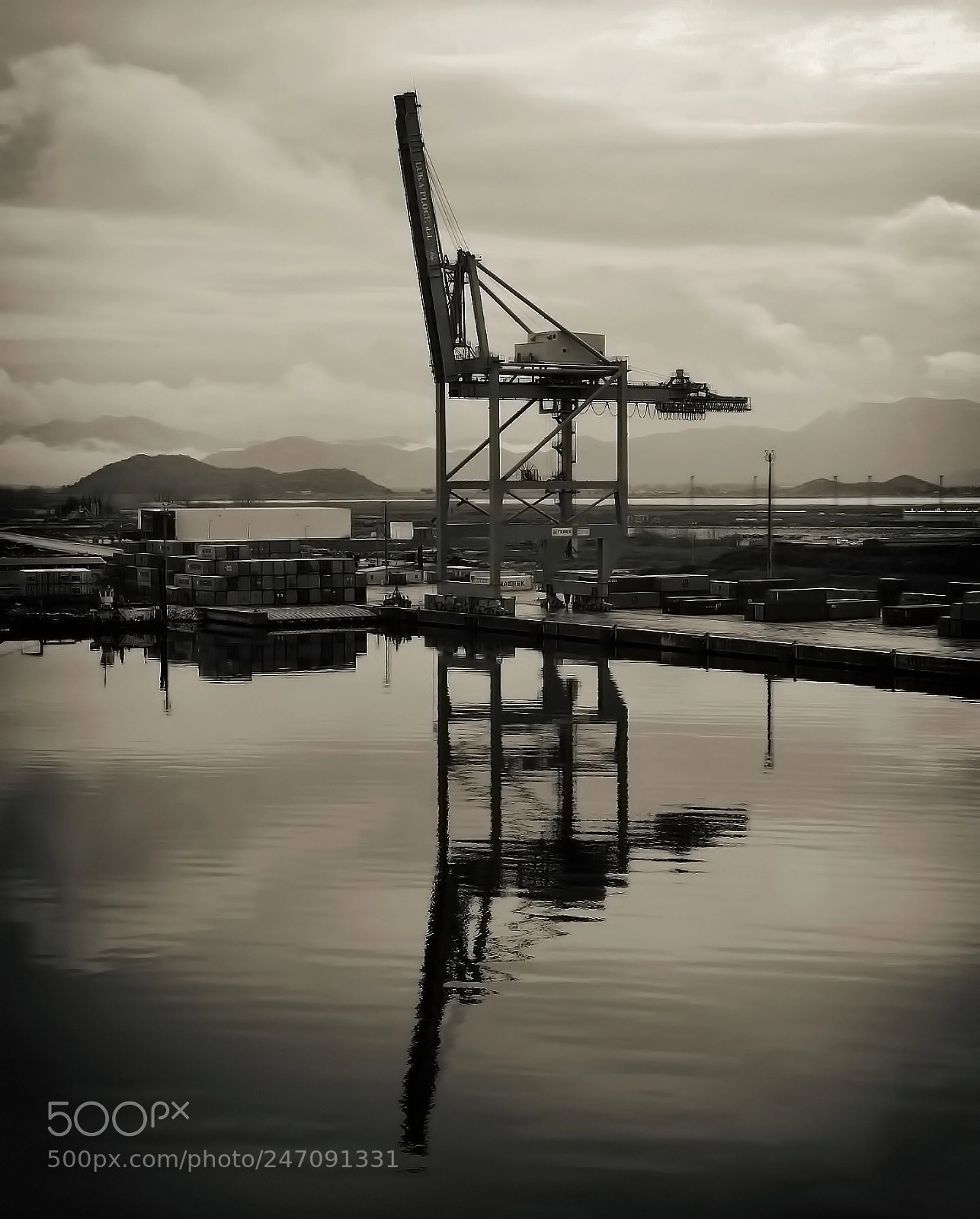 Olympus TG-4 sample photo. Crane photography