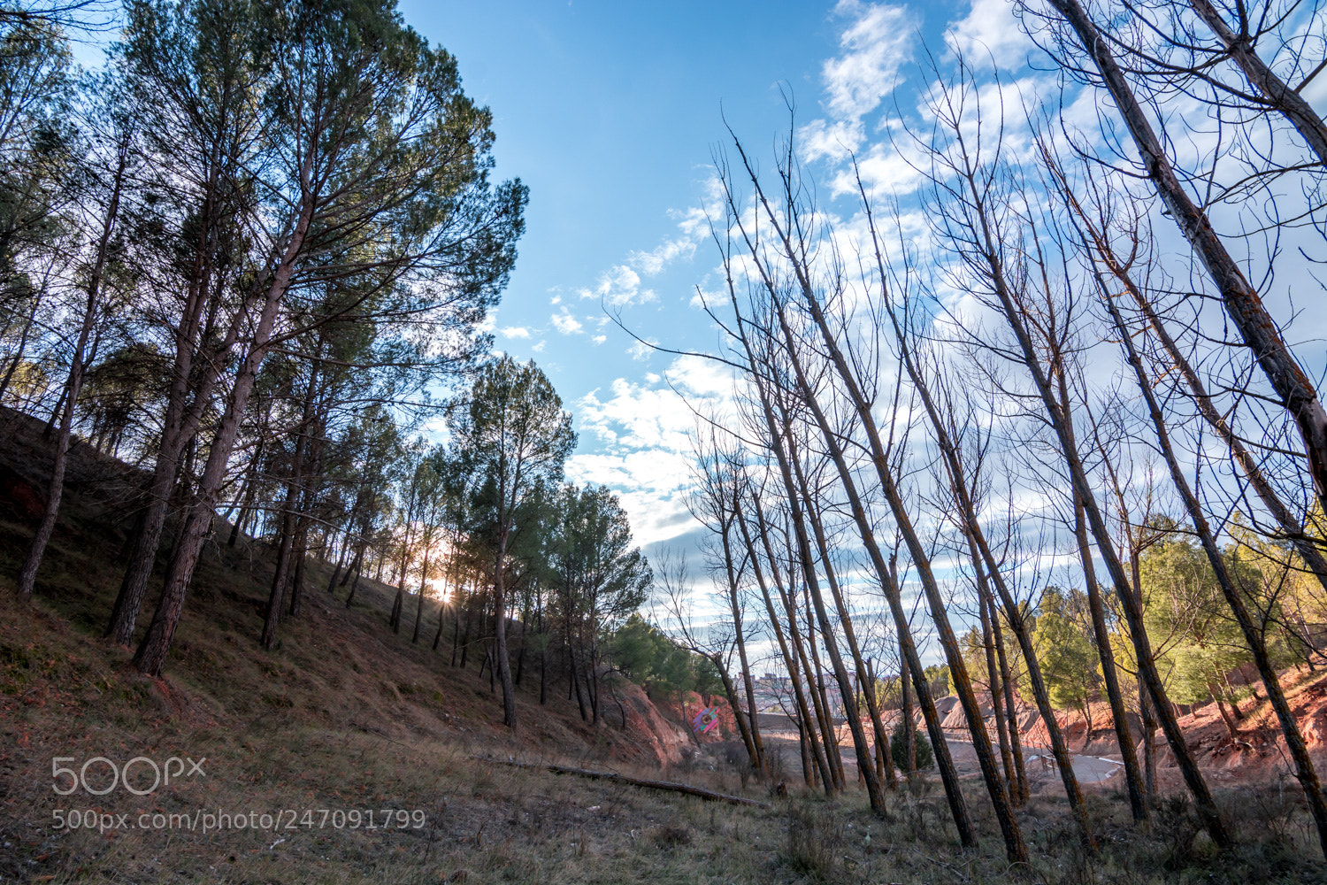 Nikon D7100 sample photo. Tranquilidad photography