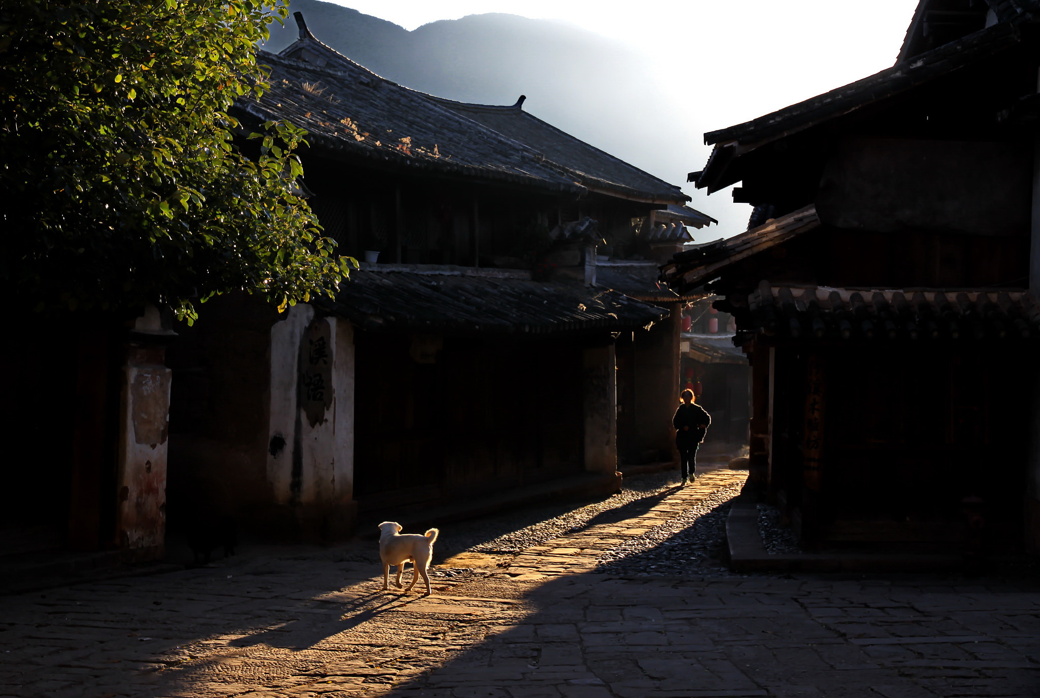 Canon EOS 50D + Canon EF-S 15-85mm F3.5-5.6 IS USM sample photo. Early morning in shaxi yünnan photography