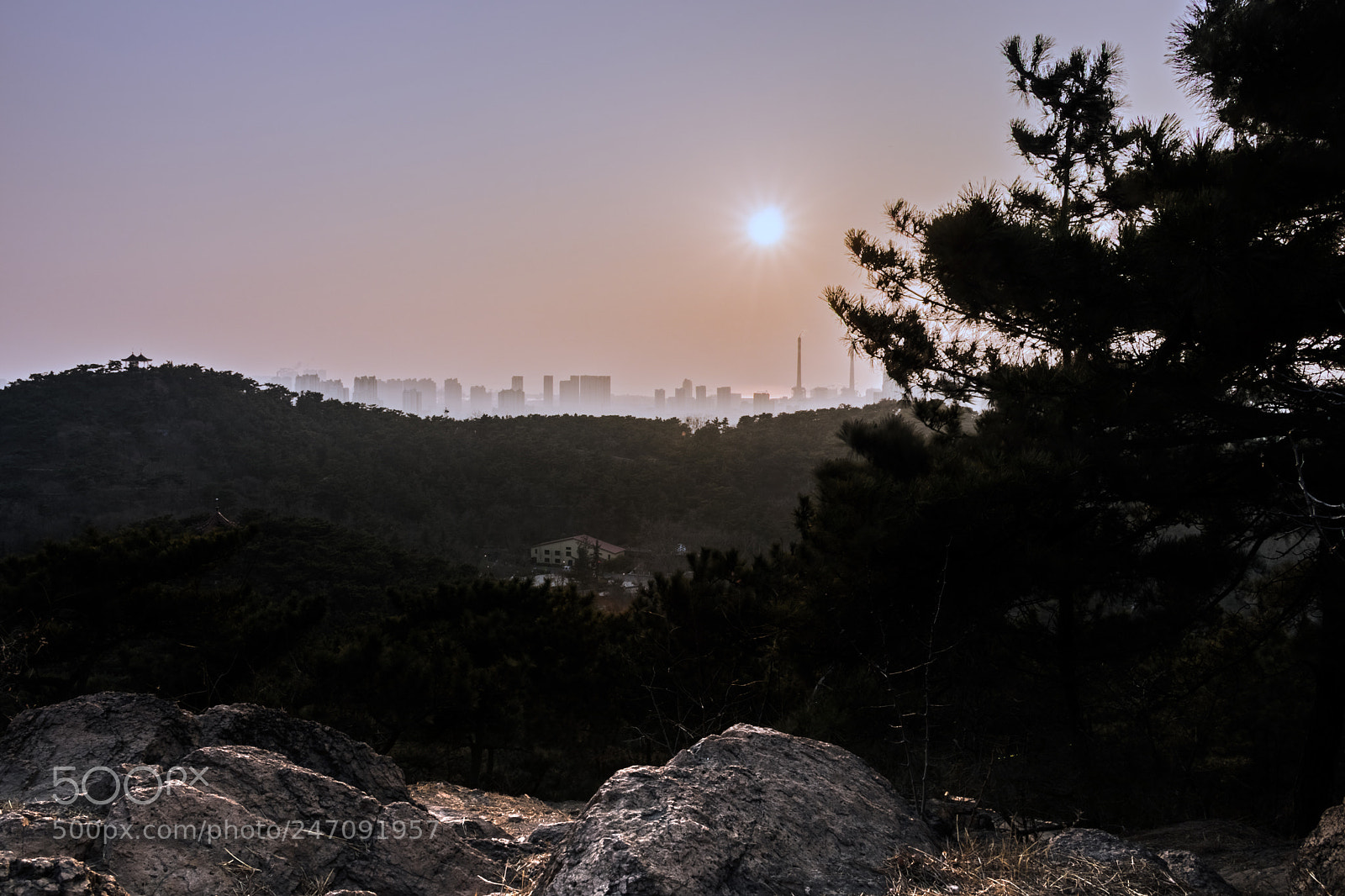 Canon EOS 80D sample photo. Untitled photography