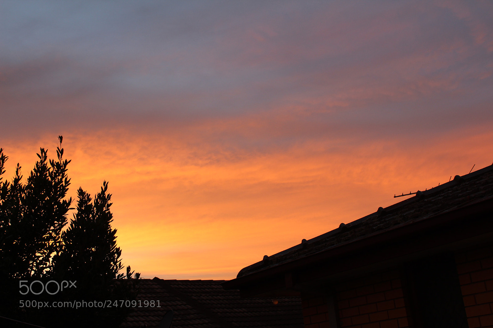 Canon EF-S 18-55mm F3.5-5.6 III sample photo. Untitled photography