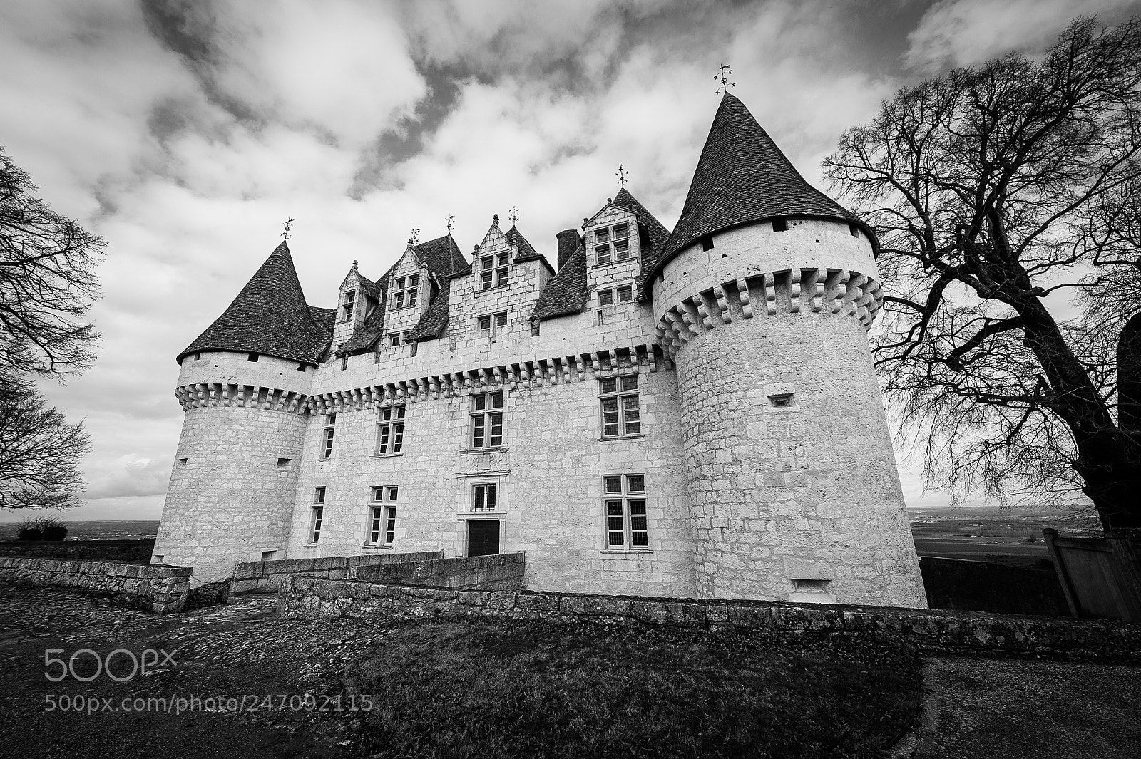 Nikon D4 sample photo. Monbazillac castle france dordogne photography