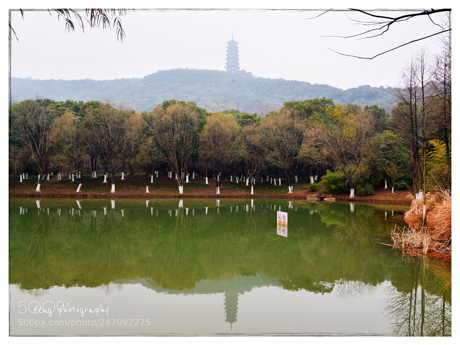 Nikon D600 sample photo. 香山塔 photography