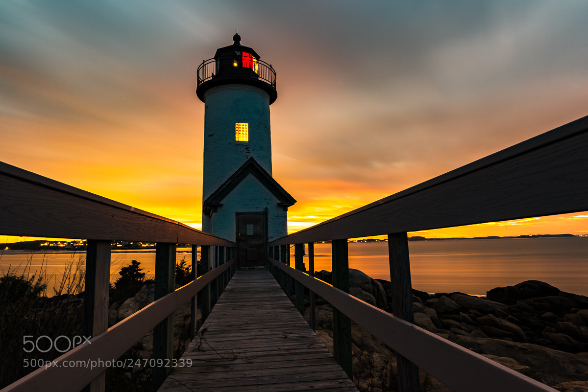Nikon D610 sample photo. Fall sunset photography