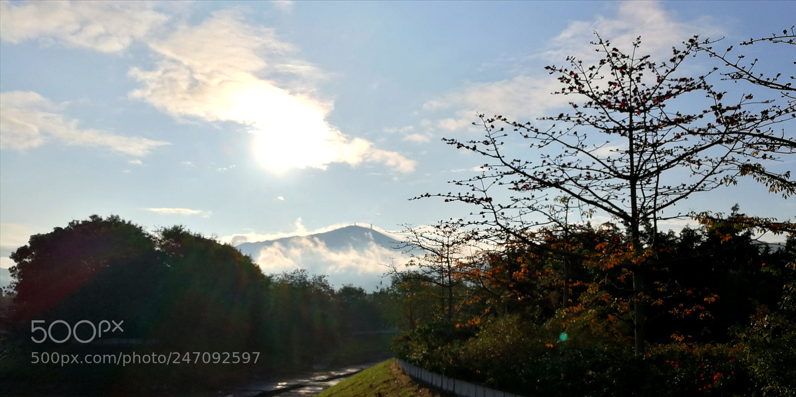 HUAWEI Mate 9 sample photo. Untitled photography