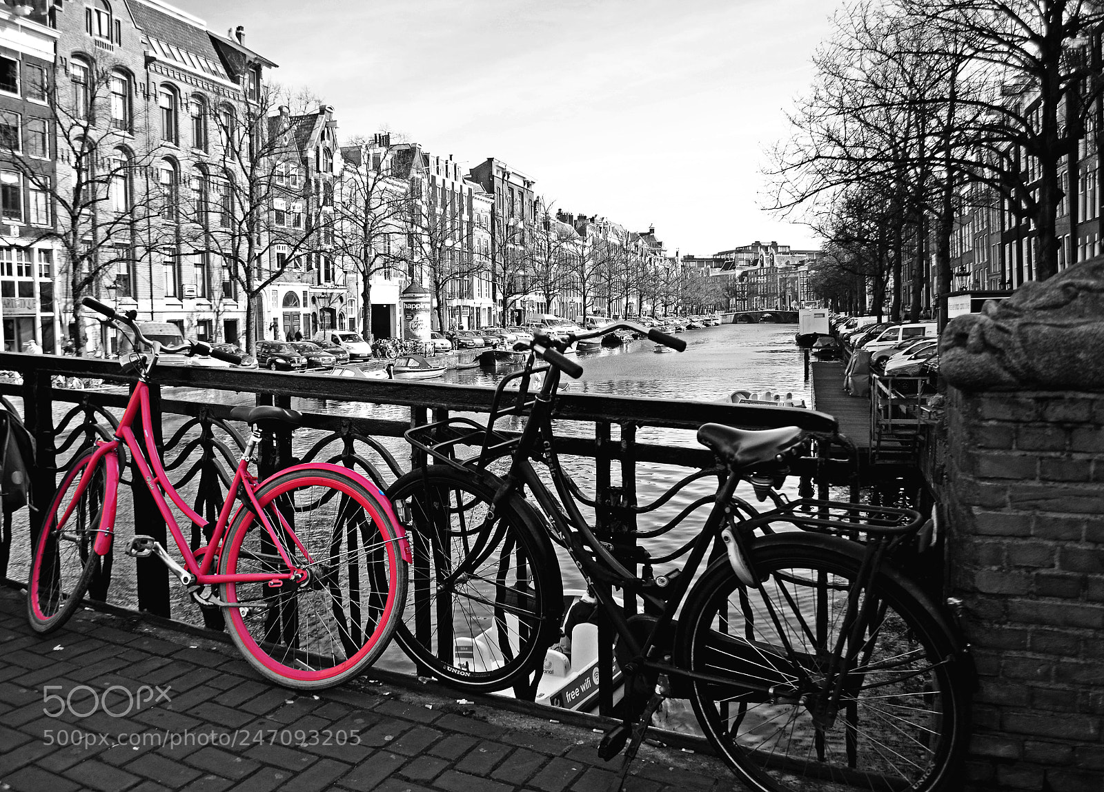 Nikon D5100 sample photo. Pink bike photography
