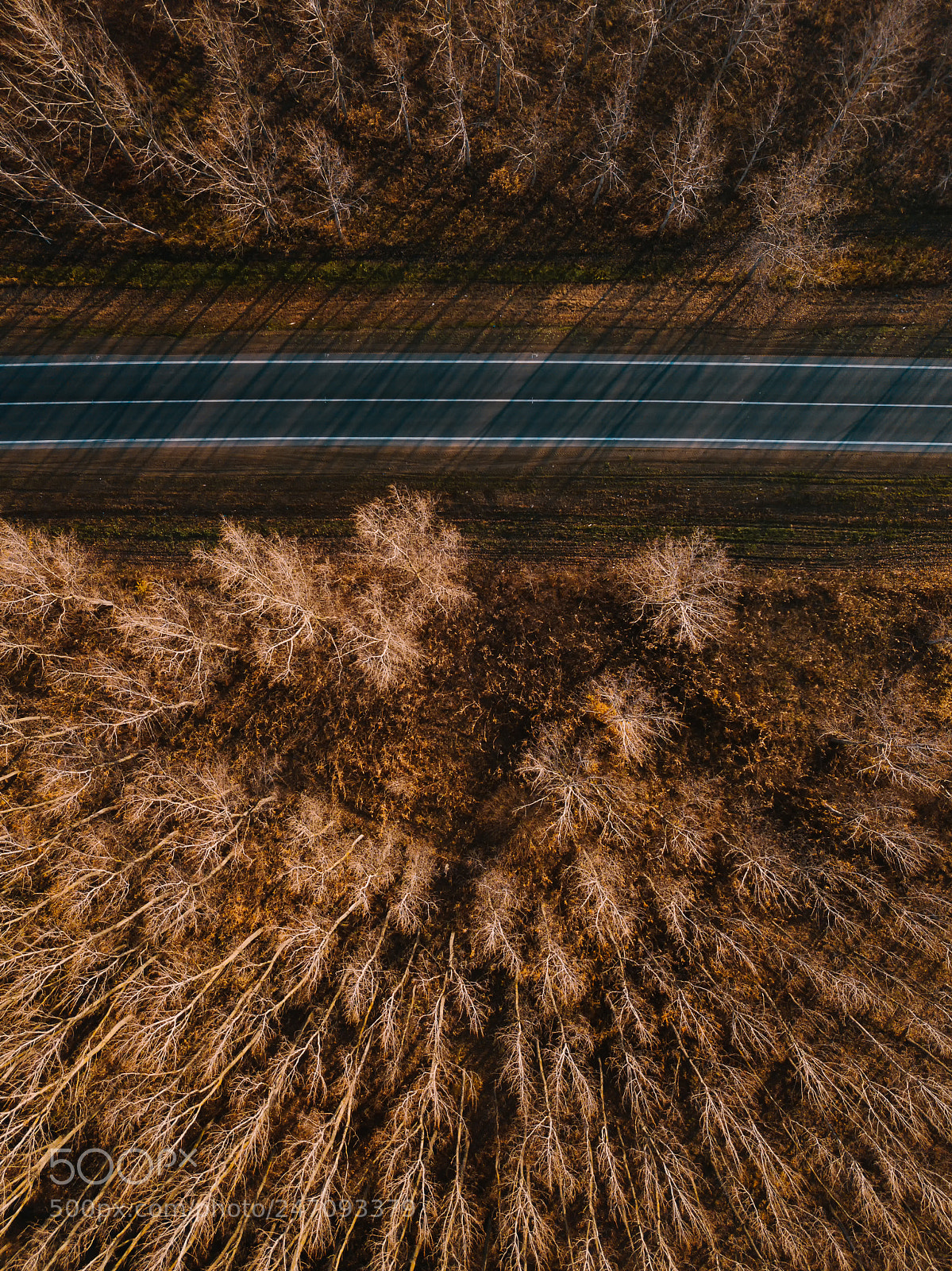 DJI FC220 sample photo. Aerial view of brand photography