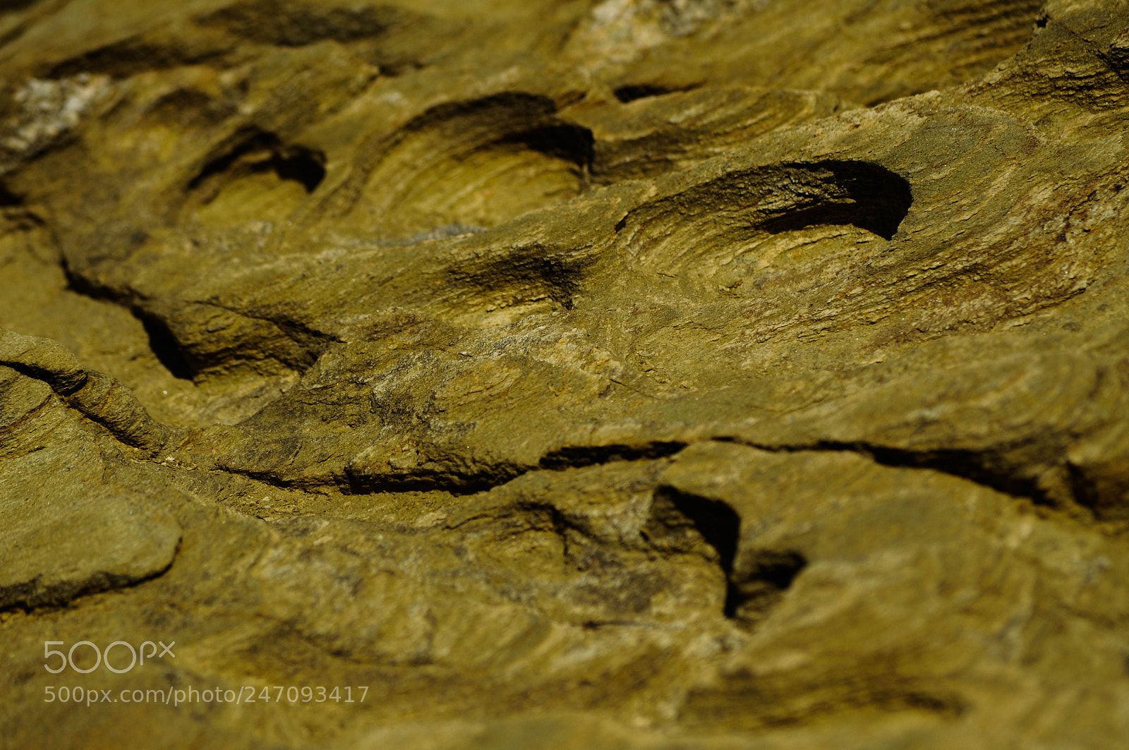 Nikon D5000 sample photo. Washed stone photography