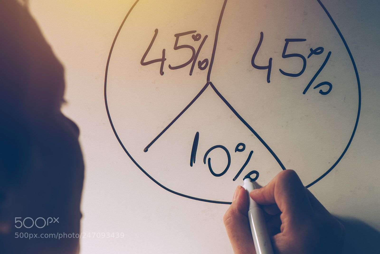 Nikon D810 sample photo. Businesswoman drawing pie chart photography
