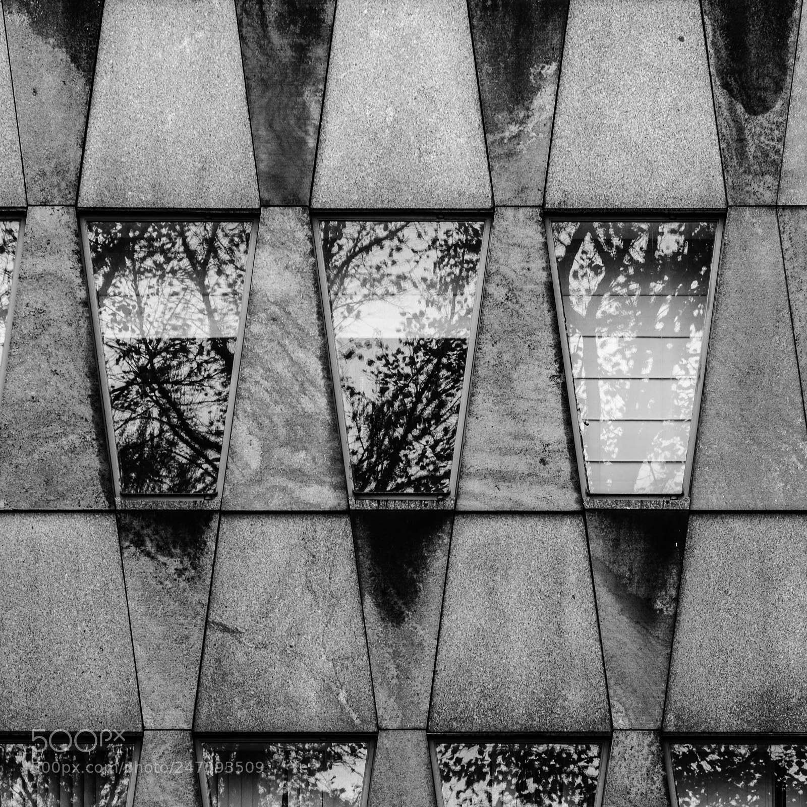 Fujifilm X-T2 sample photo. Den haag photography