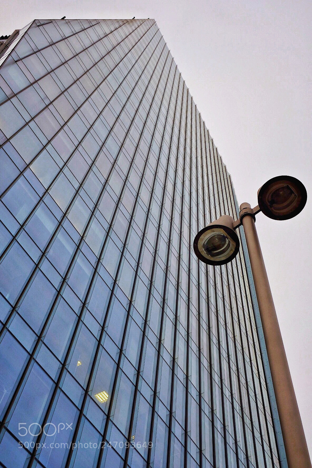 Fujifilm X-E3 sample photo. You are observed. photography