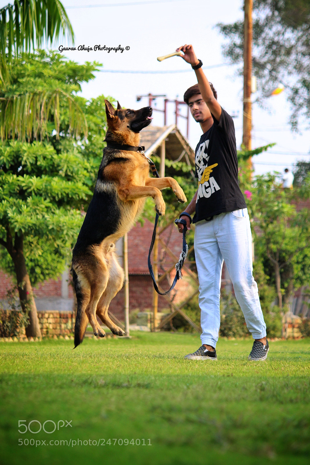 Canon EOS 700D (EOS Rebel T5i / EOS Kiss X7i) sample photo. Dogs are love photography