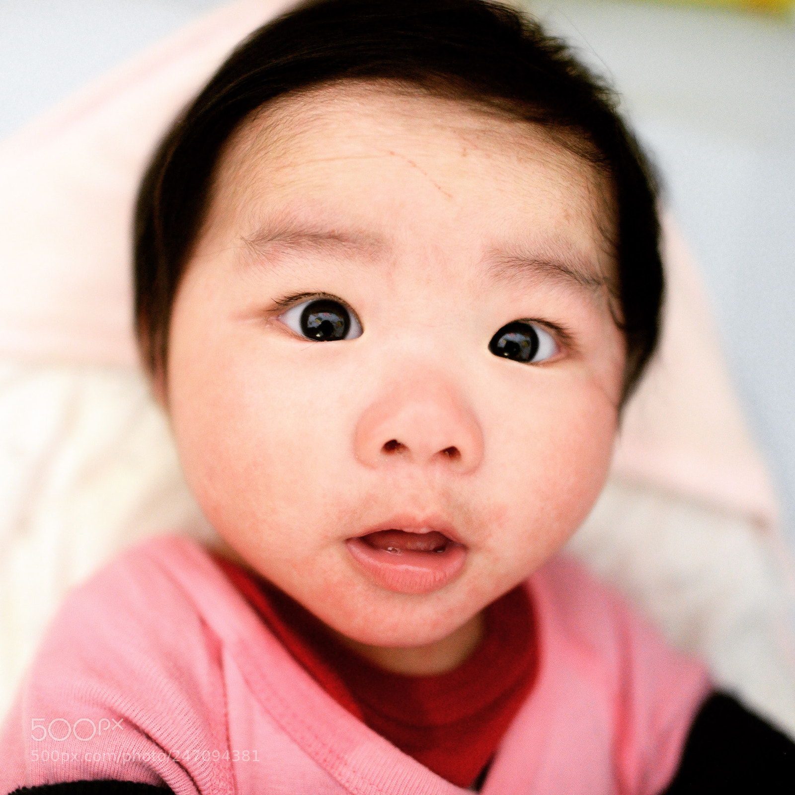 Nikon D800 sample photo. Untitled photography