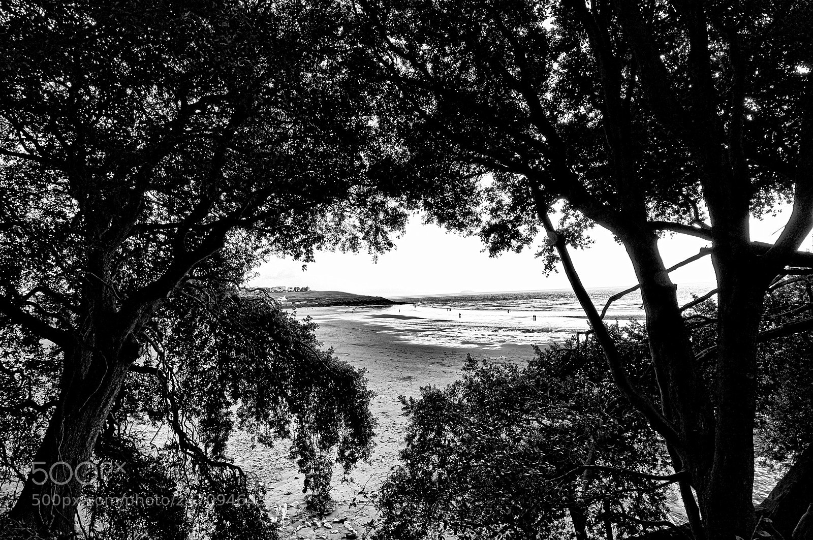 Nikon D2X sample photo. Beach view photography