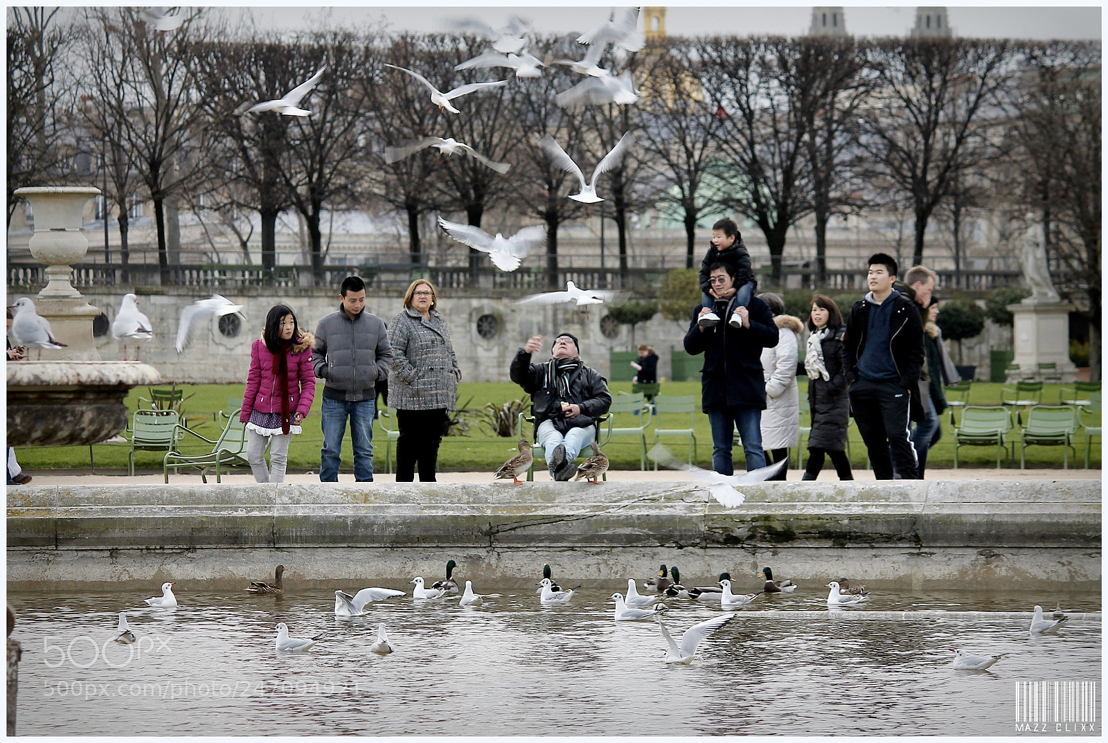 Canon EF-S 55-250mm F4-5.6 IS II sample photo. The birdman photography
