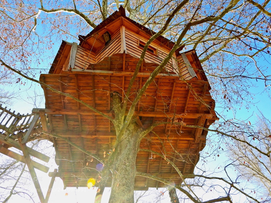 Nikon Coolpix P610 sample photo. Wooden hut#e photography