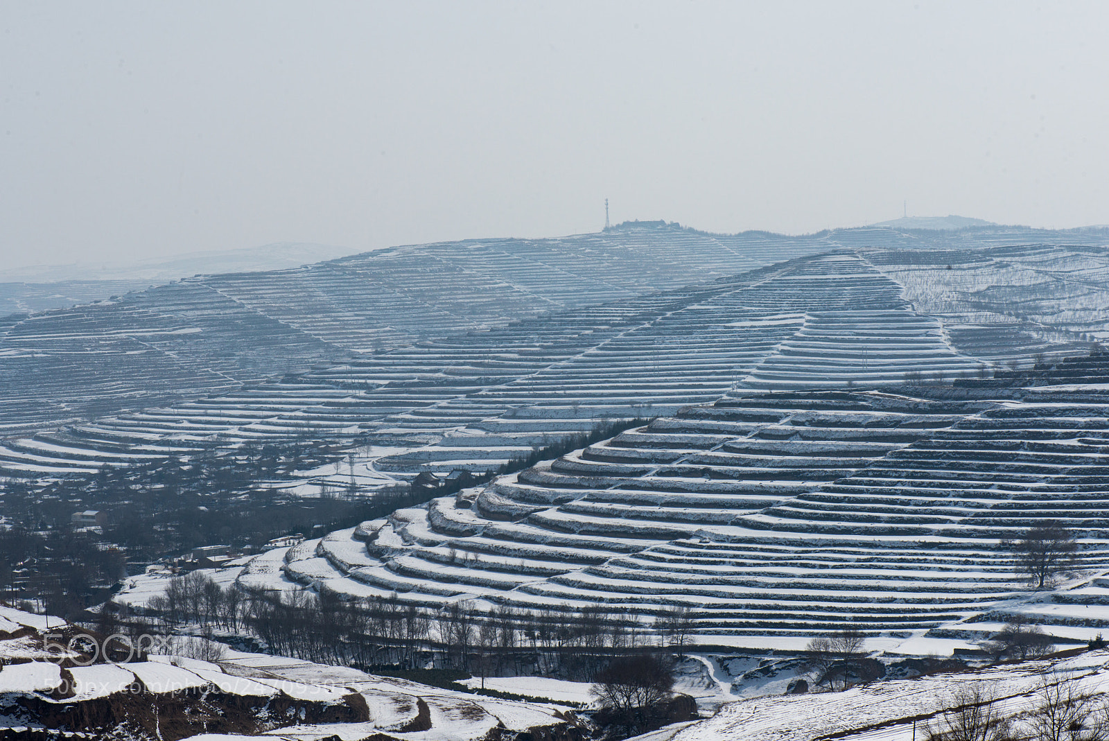 Nikon D800E sample photo. The terraced fields in photography