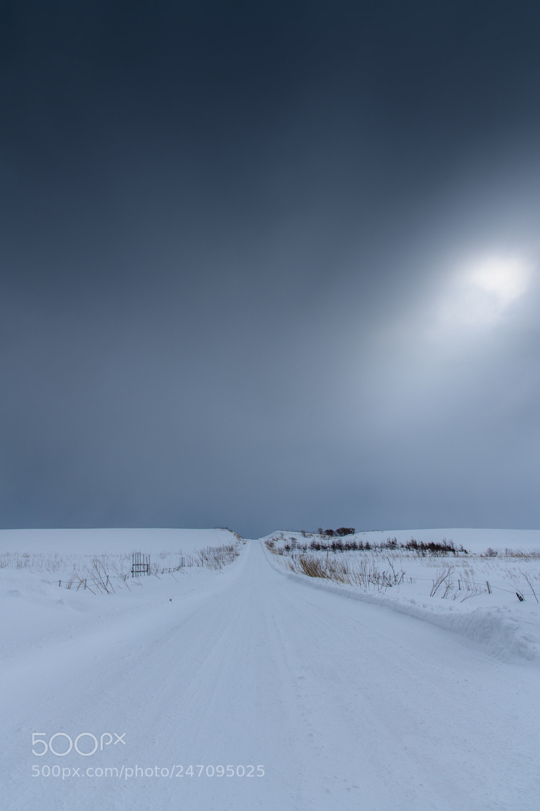 Nikon D850 sample photo. Road photography