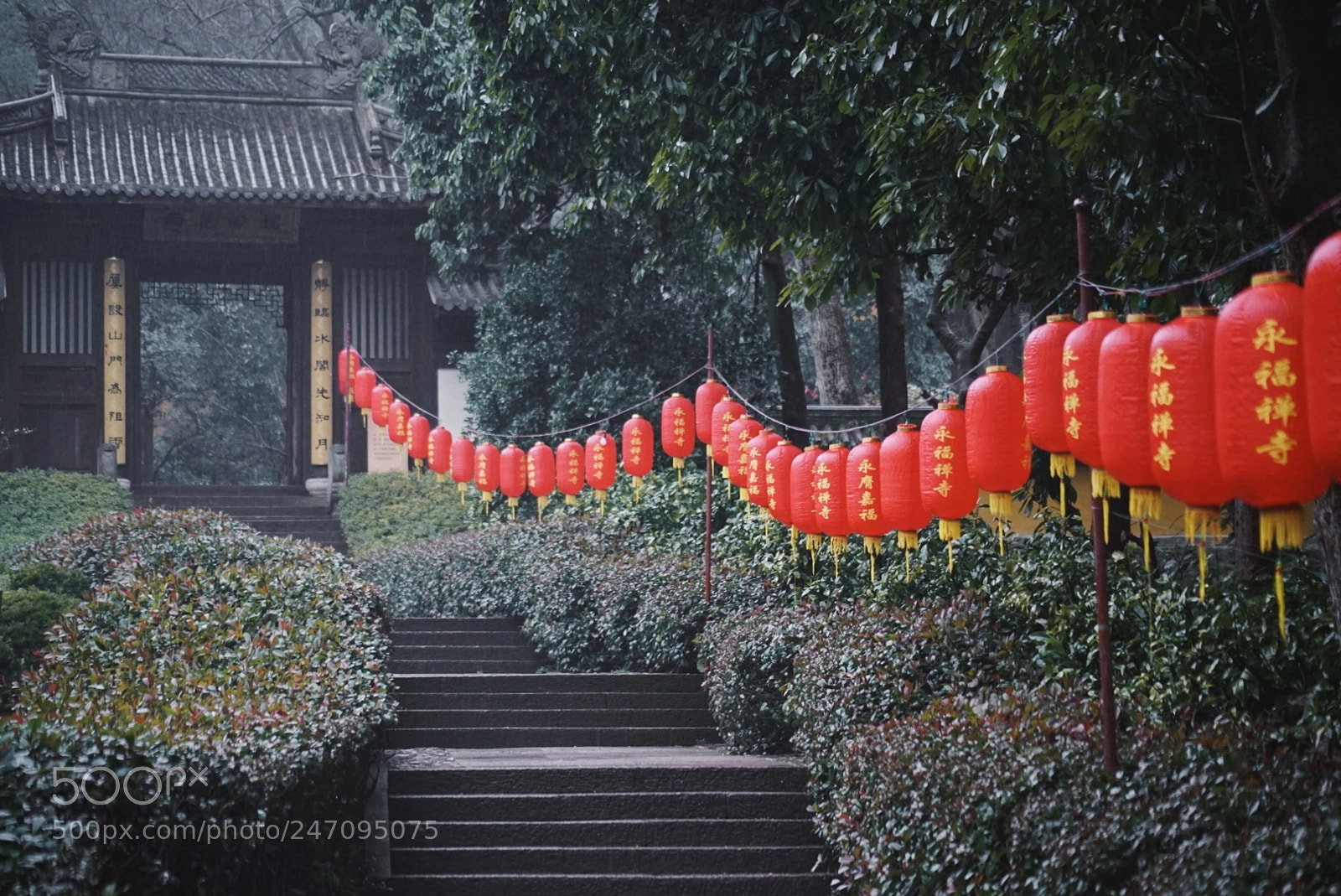 Sony a7 II sample photo. 永福寺 photography