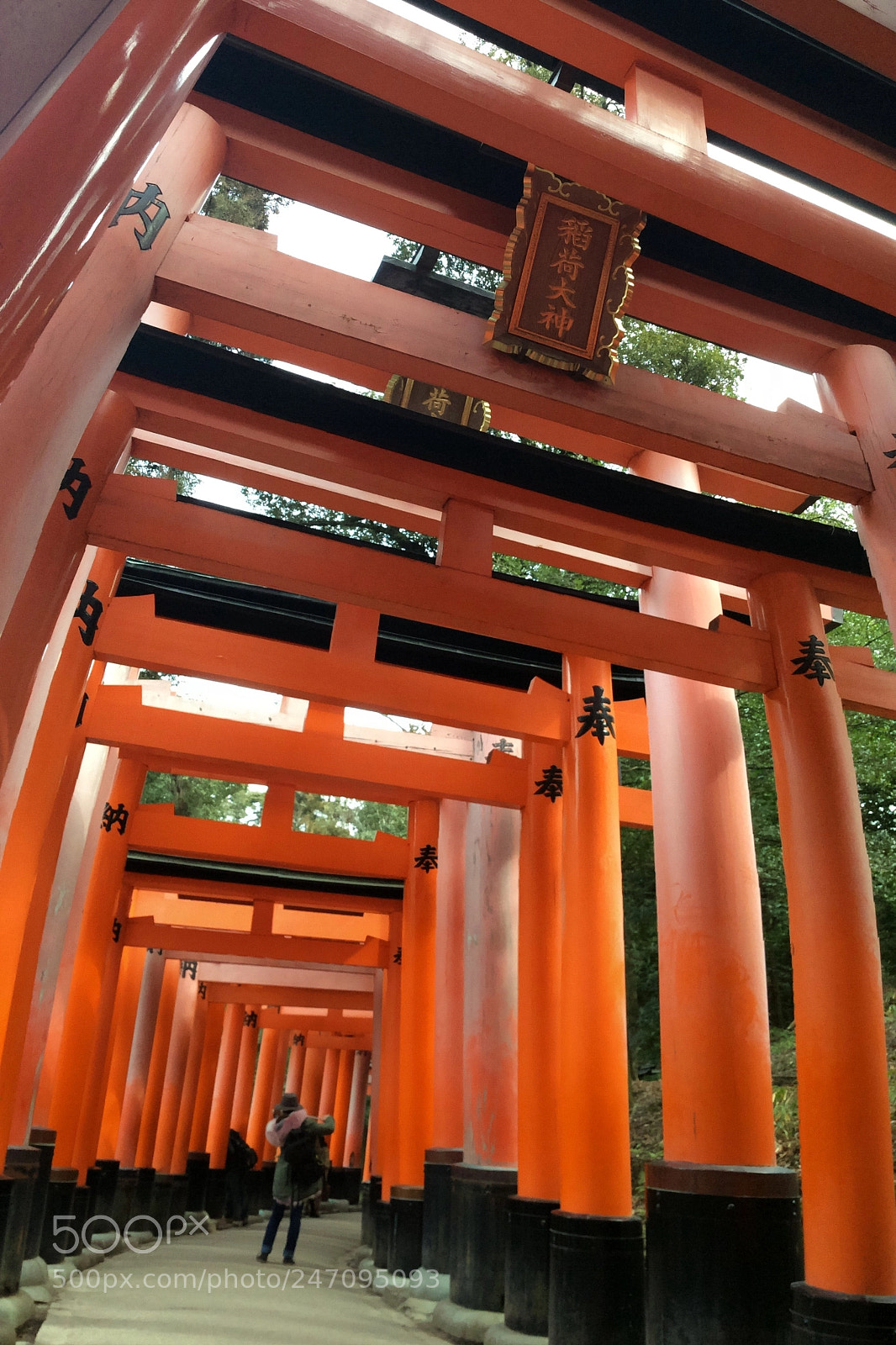 Apple iPad mini 2 sample photo. Fushimi inari shrine photography