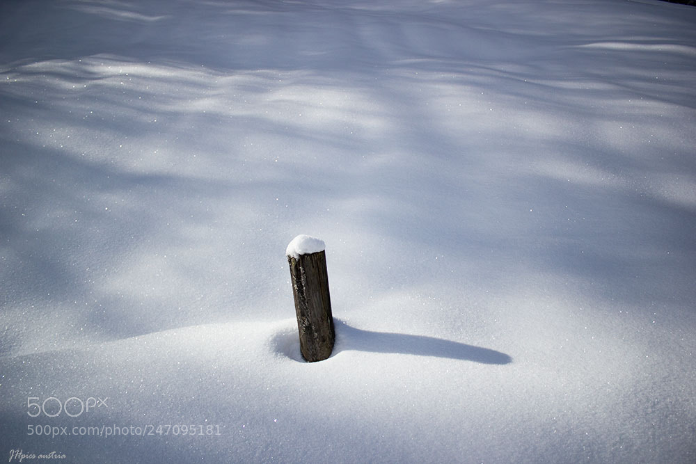 Canon EOS 550D (EOS Rebel T2i / EOS Kiss X4) sample photo. Wood photography
