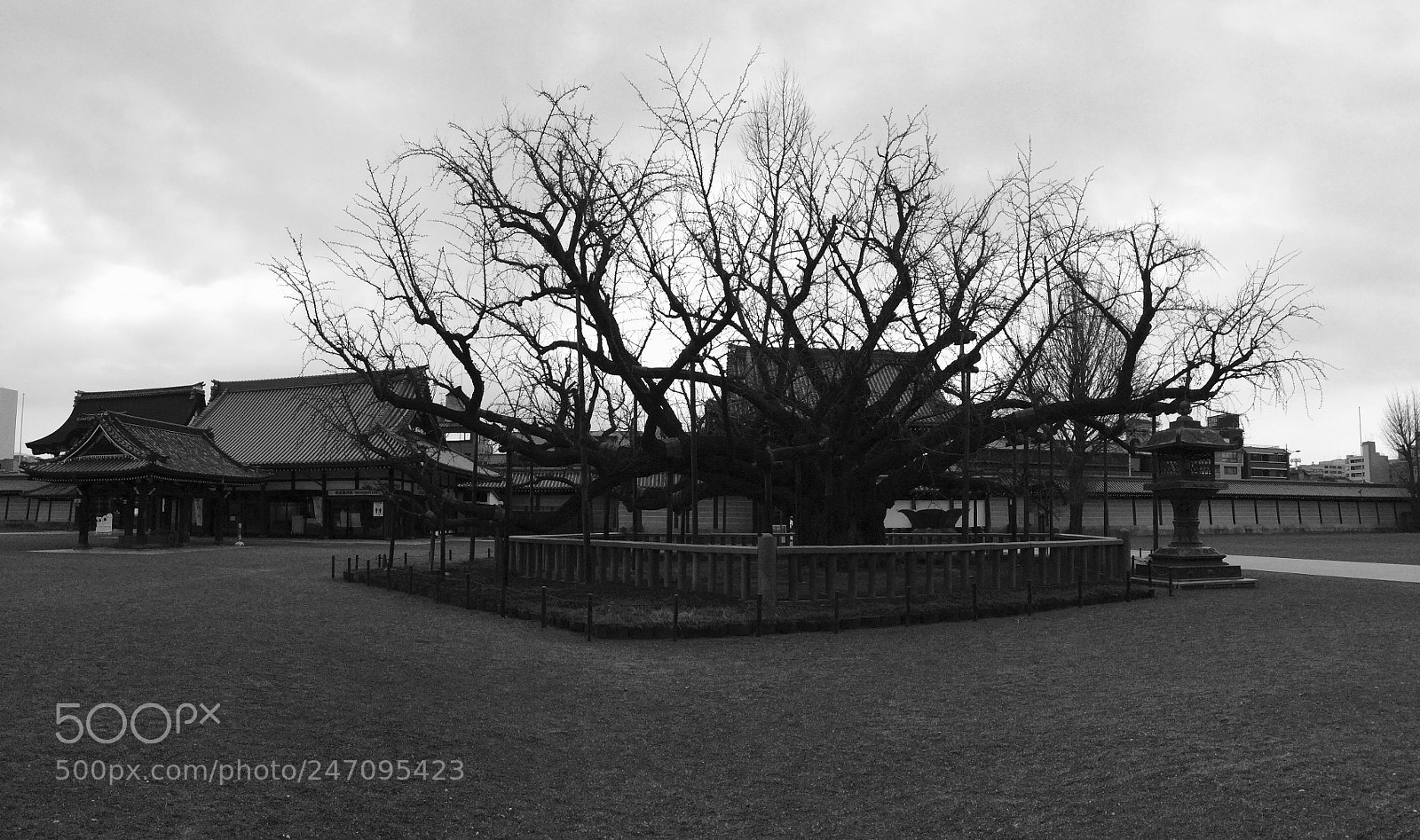 Apple iPad mini 2 sample photo. Honganji temple photography