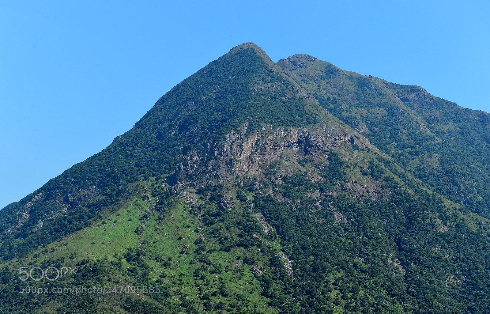 Nikon Df sample photo. 高山 photography