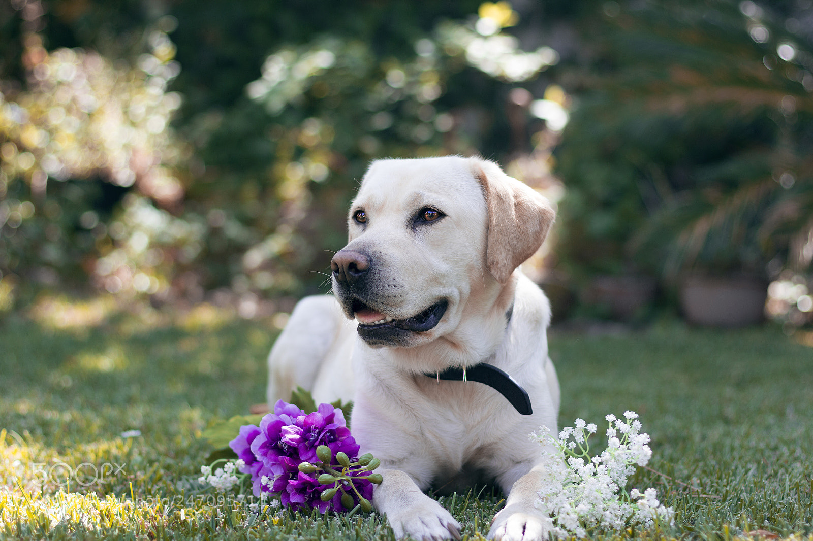 Canon EOS 60D sample photo. April 2017 photography
