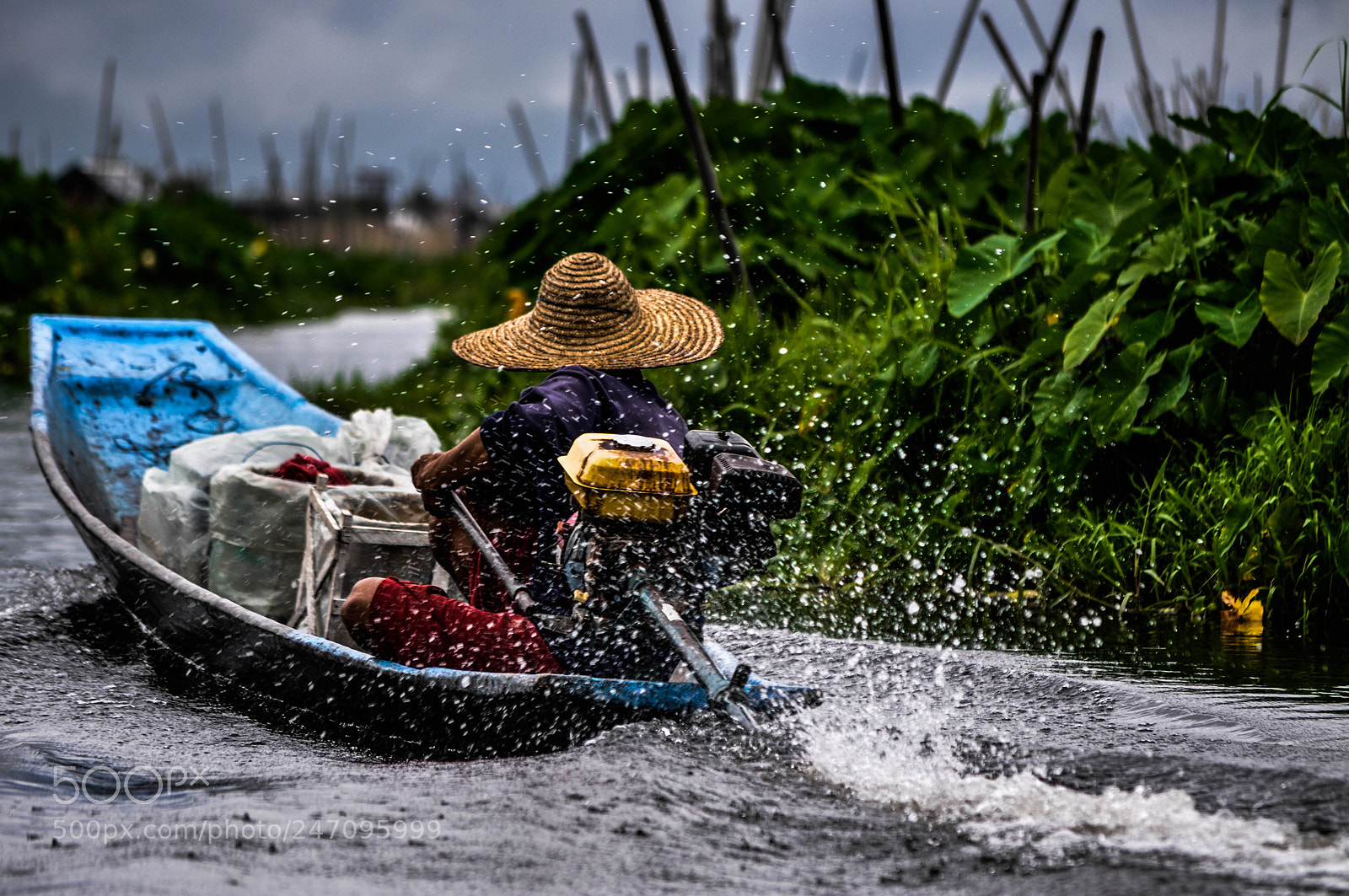 Nikon D5000 sample photo. Boatswain photography