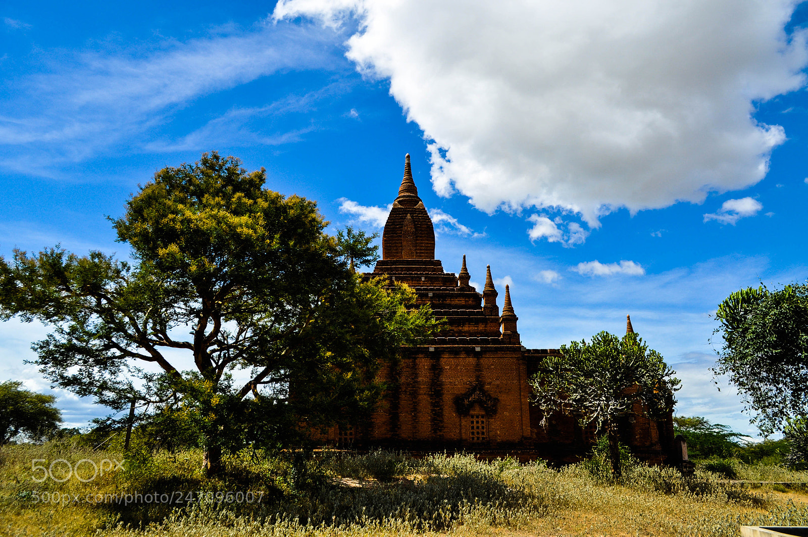 Nikon D5000 sample photo. Pagoda photography