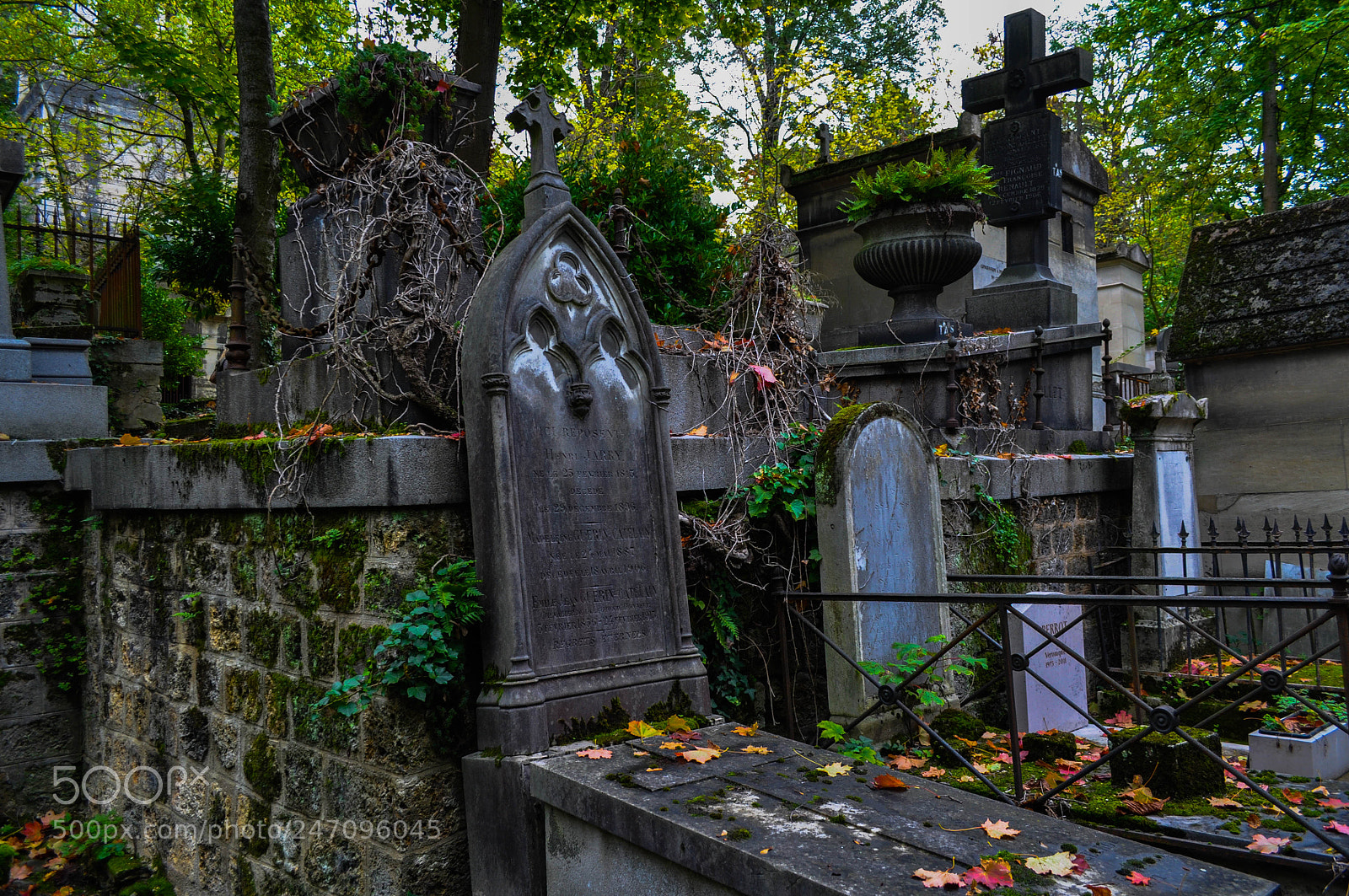 Nikon D5000 sample photo. Père lachaise photography