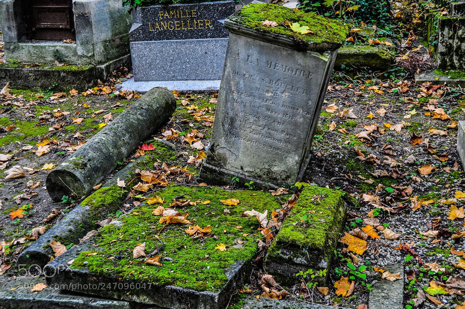 Nikon D5000 sample photo. Père lachaise photography