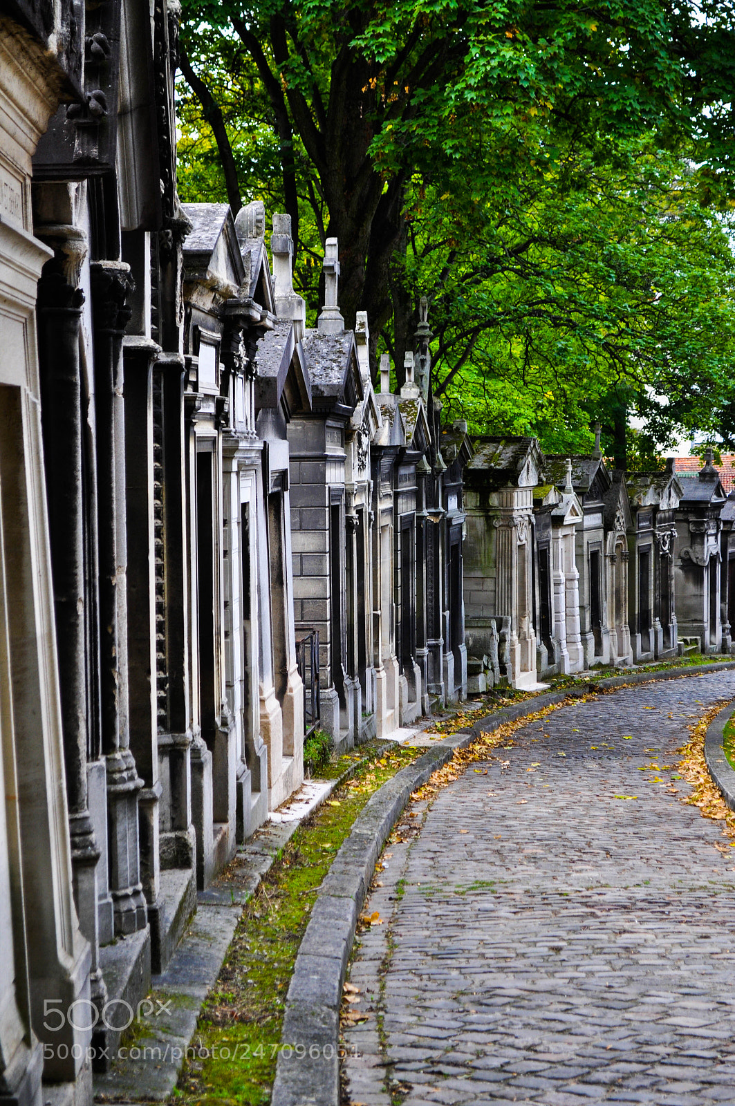Nikon D5000 sample photo. Père lachaise photography