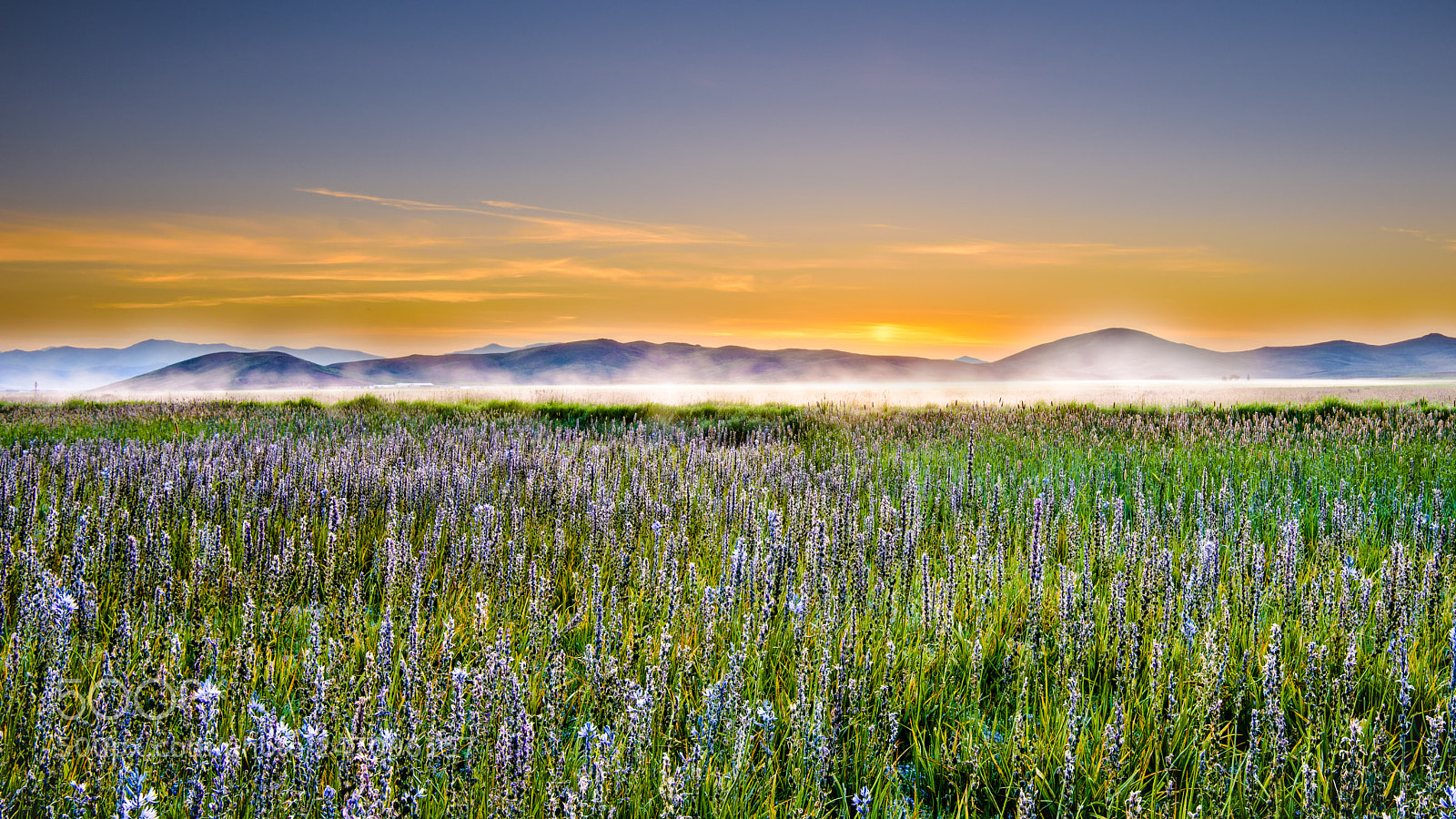 Nikon D810 sample photo. The promise of spring photography
