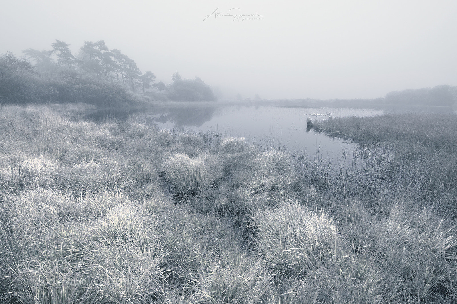 Nikon D7100 sample photo. Frosty morning photography
