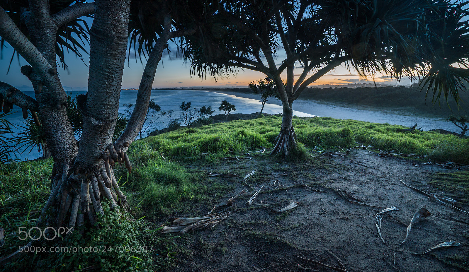 Sony a7S sample photo. Crazy green photography
